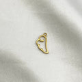 Wing cloud charm