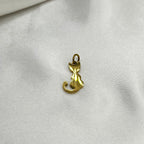 Cat charm